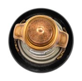 Термостат Suzuki DF300B/325A/350A (60C) Термостат Suzuki DF300B/325A/350A (60C)