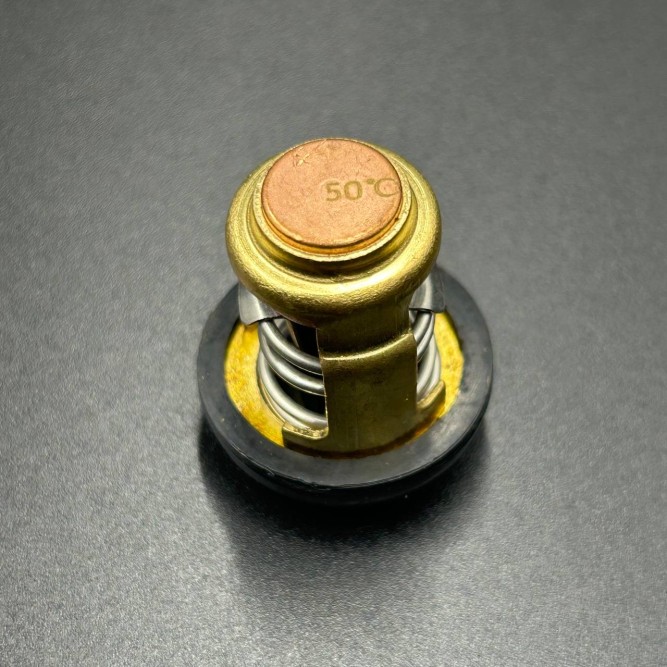 Термостат Yamaha 3-250 (Omax)