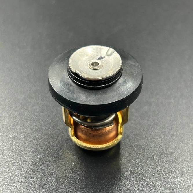Термостат Yamaha 3-250 (Omax)