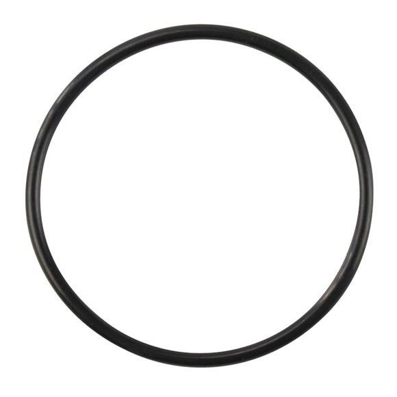 Кольцо уплотнительное кабрюратора Skipper для Yamaha 25/30