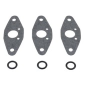 Комплект прокладок RAVE клапана BRP 09-719112