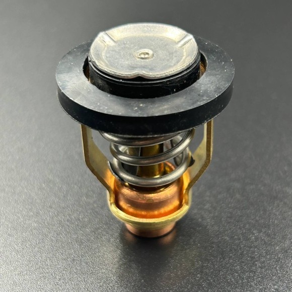 Термостат Suzuki 50°С (Osaka)