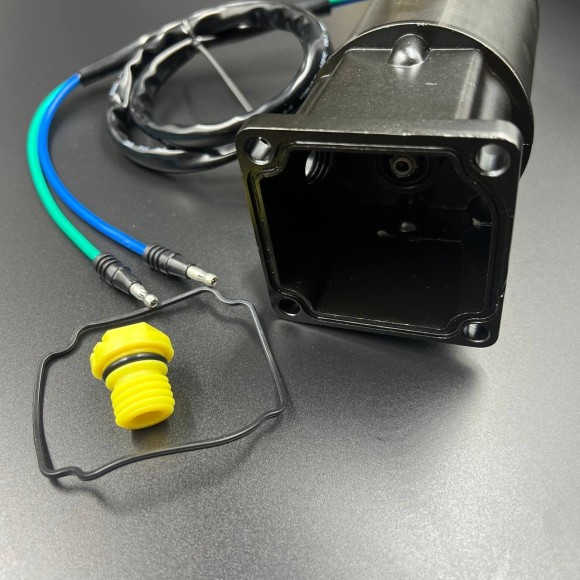 Мотор гидроподъемника Mercury 30-125 (811699) (WUHU)