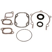 Полный комплект прокладок BRP 300F 09-711195