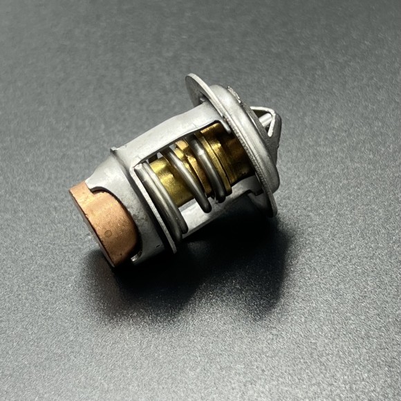 Термостат Mercury 40-60 (Omax)