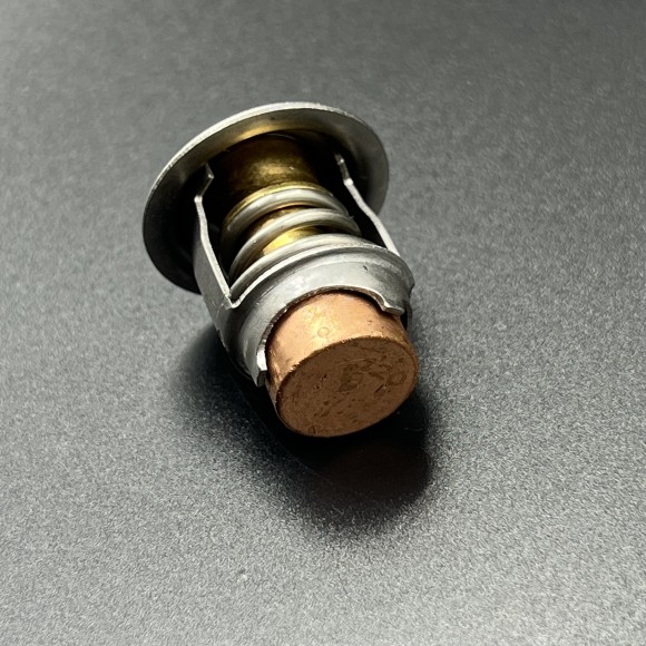 Термостат Mercury 40-60 (Omax)