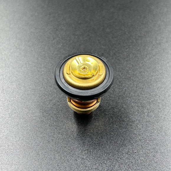 Термостат Yamaha 3-55 (YUELANG)