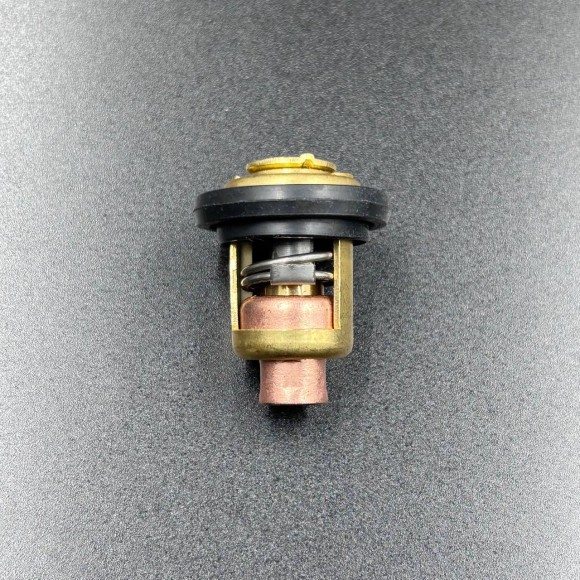 Термостат Yamaha 3-55 (YUELANG)