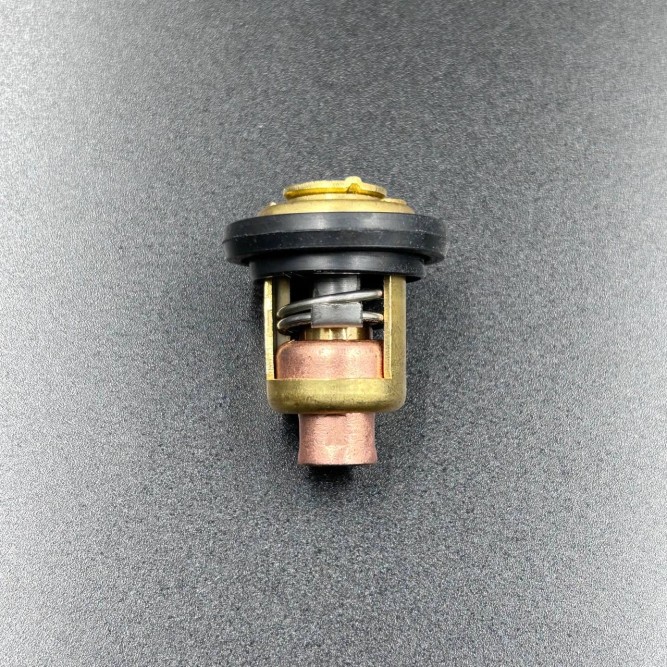 Термостат Yamaha 3-55 (YUELANG)