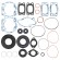 Комплект прокладок с сальниками Sledex для Ski Doo 582LC