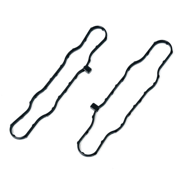 Комплект прокладок RAVE клапана Polaris SM-09539E Комплект прокладок RAVE клапана Polaris SM-09539E