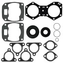 Полный комплект прокладок Polaris 550 09-711238